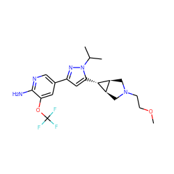 COCCN1C[C@H]2[C@@H](C1)[C@@H]2c1cc(-c2cnc(N)c(OC(F)(F)F)c2)nn1C(C)C ZINC000148075771