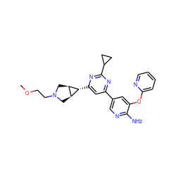 COCCN1C[C@H]2[C@@H](C1)[C@@H]2c1cc(-c2cnc(N)c(Oc3ccccn3)c2)nc(C2CC2)n1 ZINC000653667733