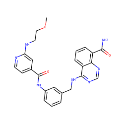 COCCNc1cc(C(=O)Nc2cccc(CNc3ncnc4c(C(N)=O)cccc34)c2)ccn1 ZINC000166986190