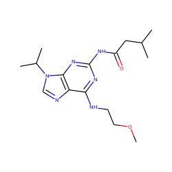 COCCNc1nc(NC(=O)CC(C)C)nc2c1ncn2C(C)C ZINC000028642340