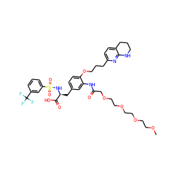 COCCOCCOCCOCC(=O)Nc1cc(C[C@H](NS(=O)(=O)c2cccc(C(F)(F)F)c2)C(=O)O)ccc1OCCCc1ccc2c(n1)NCCC2 ZINC000095538452