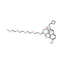 COCCOCCOCCOCCO[C@H]1CC[C@@]2(O)[C@H]3Cc4ccc(O)c5c4[C@@]2(CCN3CC2CCC2)[C@H]1O5 ZINC000043200478