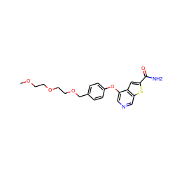 COCCOCCOCc1ccc(Oc2cncc3sc(C(N)=O)cc23)cc1 ZINC000013864452