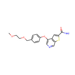 COCCOCc1ccc(Oc2cncc3sc(C(N)=O)cc23)cc1 ZINC000013864450