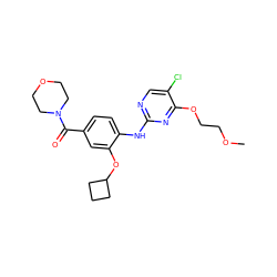 COCCOc1nc(Nc2ccc(C(=O)N3CCOCC3)cc2OC2CCC2)ncc1Cl ZINC000169705114