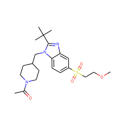 COCCS(=O)(=O)c1ccc2c(c1)nc(C(C)(C)C)n2CC1CCN(C(C)=O)CC1 ZINC000073197437