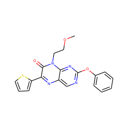 COCCn1c(=O)c(-c2cccs2)nc2cnc(Oc3ccccc3)nc21 ZINC000004238608