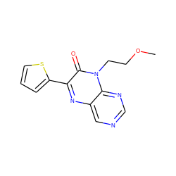 COCCn1c(=O)c(-c2cccs2)nc2cncnc21 ZINC000004238785