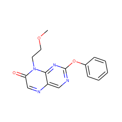 COCCn1c(=O)cnc2cnc(Oc3ccccc3)nc21 ZINC000004238787