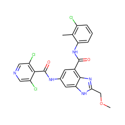 COCc1nc2c(C(=O)Nc3cccc(Cl)c3C)cc(NC(=O)c3c(Cl)cncc3Cl)cc2[nH]1 ZINC000224809718