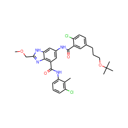 COCc1nc2c(C(=O)Nc3cccc(Cl)c3C)cc(NC(=O)c3cc(CCCOC(C)(C)C)ccc3Cl)cc2[nH]1 ZINC000205656864