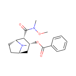 CON(C)C(=O)[C@@H]1[C@H](OC(=O)c2ccccc2)C[C@H]2CC[C@H]1N2C ZINC000100728398