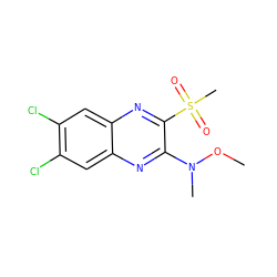 CON(C)c1nc2cc(Cl)c(Cl)cc2nc1S(C)(=O)=O ZINC000028951072