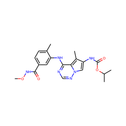 CONC(=O)c1ccc(C)c(Nc2ncnn3cc(NC(=O)OC(C)C)c(C)c23)c1 ZINC000014974265