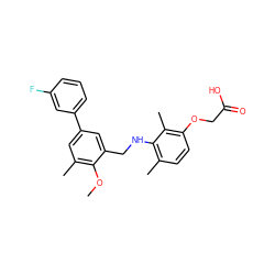 COc1c(C)cc(-c2cccc(F)c2)cc1CNc1c(C)ccc(OCC(=O)O)c1C ZINC000218876562