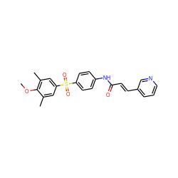 COc1c(C)cc(S(=O)(=O)c2ccc(NC(=O)/C=C/c3cccnc3)cc2)cc1C ZINC000142354864