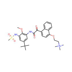 COc1c(NC(=O)C(=O)c2ccc(OCC[N+](C)(C)C)c3ccccc23)cc(C(C)(C)C)cc1NS(C)(=O)=O ZINC000653719558