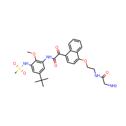 COc1c(NC(=O)C(=O)c2ccc(OCCNC(=O)CN)c3ccccc23)cc(C(C)(C)C)cc1NS(C)(=O)=O ZINC000653736003