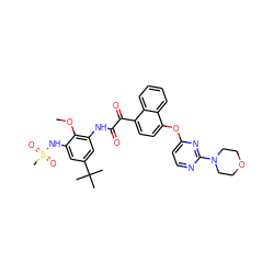 COc1c(NC(=O)C(=O)c2ccc(Oc3ccnc(N4CCOCC4)n3)c3ccccc23)cc(C(C)(C)C)cc1NS(C)(=O)=O ZINC000058649937