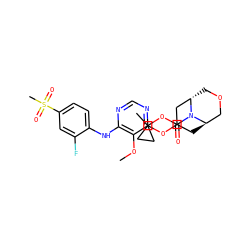 COc1c(Nc2ccc(S(C)(=O)=O)cc2F)ncnc1OC1C[C@@H]2COC[C@@H](C1)N2C(=O)OC1(C)CC1 ZINC000205038115