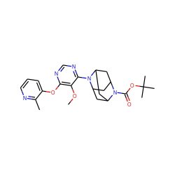 COc1c(Oc2cccnc2C)ncnc1N1C2CC3CC1CC(C2)N3C(=O)OC(C)(C)C ZINC000095593228