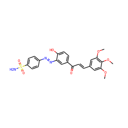 COc1cc(/C=C/C(=O)c2ccc(O)c(/N=N/c3ccc(S(N)(=O)=O)cc3)c2)cc(OC)c1OC ZINC001772569984