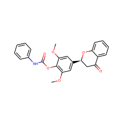 COc1cc([C@@H]2CC(=O)c3ccccc3O2)cc(OC)c1OC(=O)Nc1ccccc1 ZINC000098084337