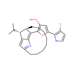 COc1cc(-c2[nH]ccc2Cl)oc1C1=C2N=C3C=C2[C@H](C(C)C)[C@H]1CCCCCCCC3 ZINC000012971207