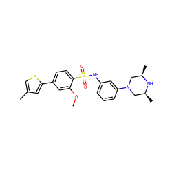 COc1cc(-c2cc(C)cs2)ccc1S(=O)(=O)Nc1cccc(N2C[C@H](C)N[C@H](C)C2)c1 ZINC000095598525