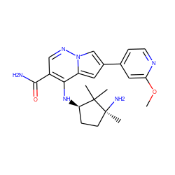 COc1cc(-c2cc3c(N[C@@H]4CC[C@](C)(N)C4(C)C)c(C(N)=O)cnn3c2)ccn1 ZINC001772621961