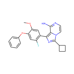 COc1cc(-c2nc(C3CCC3)n3ccnc(N)c23)c(F)cc1Oc1ccccc1 ZINC000096168064