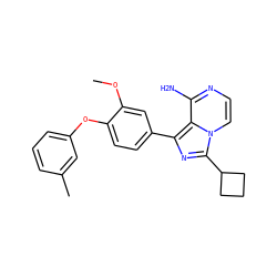 COc1cc(-c2nc(C3CCC3)n3ccnc(N)c23)ccc1Oc1cccc(C)c1 ZINC000096168072