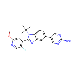 COc1cc(-c2nc3cc(-c4cnc(N)nc4)ccc3n2C(C)(C)C)c(F)cn1 ZINC000169259281
