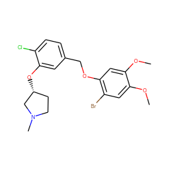 COc1cc(Br)c(OCc2ccc(Cl)c(O[C@@H]3CCN(C)C3)c2)cc1OC ZINC000095605257