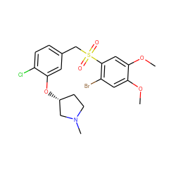 COc1cc(Br)c(S(=O)(=O)Cc2ccc(Cl)c(O[C@@H]3CCN(C)C3)c2)cc1OC ZINC000095605569