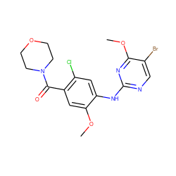 COc1cc(C(=O)N2CCOCC2)c(Cl)cc1Nc1ncc(Br)c(OC)n1 ZINC000169705190