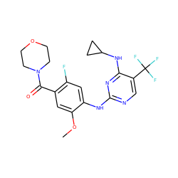 COc1cc(C(=O)N2CCOCC2)c(F)cc1Nc1ncc(C(F)(F)F)c(NC2CC2)n1 ZINC000095579696