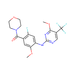 COc1cc(C(=O)N2CCOCC2)c(F)cc1Nc1ncc(C(F)(F)F)c(OC)n1 ZINC000169705154