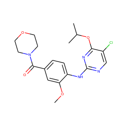 COc1cc(C(=O)N2CCOCC2)ccc1Nc1ncc(Cl)c(OC(C)C)n1 ZINC000169705032