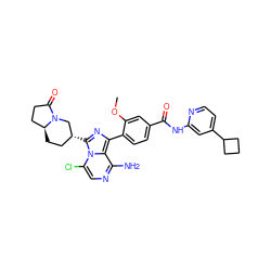 COc1cc(C(=O)Nc2cc(C3CCC3)ccn2)ccc1-c1nc([C@@H]2CC[C@H]3CCC(=O)N3C2)n2c(Cl)cnc(N)c12 ZINC000145391453