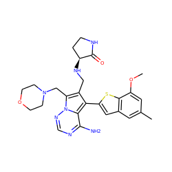 COc1cc(C)cc2cc(-c3c(CN[C@H]4CCNC4=O)c(CN4CCOCC4)n4ncnc(N)c34)sc12 ZINC000218072716