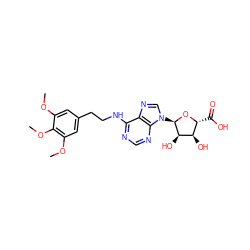 COc1cc(CCNc2ncnc3c2ncn3[C@H]2O[C@H](C(=O)O)[C@@H](O)[C@H]2O)cc(OC)c1OC ZINC000048998125