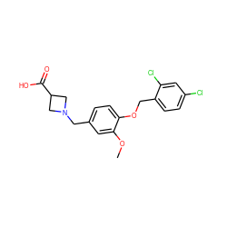 COc1cc(CN2CC(C(=O)O)C2)ccc1OCc1ccc(Cl)cc1Cl ZINC000143456804