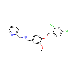 COc1cc(CNCc2ccccn2)ccc1OCc1ccc(Cl)cc1Cl ZINC000004384161