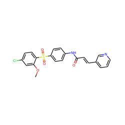 COc1cc(Cl)ccc1S(=O)(=O)c1ccc(NC(=O)/C=C/c2cccnc2)cc1 ZINC000142223842