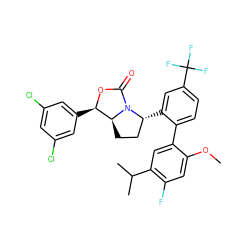 COc1cc(F)c(C(C)C)cc1-c1ccc(C(F)(F)F)cc1[C@@H]1CC[C@H]2[C@@H](c3cc(Cl)cc(Cl)c3)OC(=O)N12 ZINC000169709057