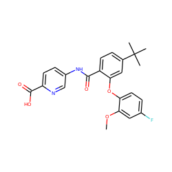 COc1cc(F)ccc1Oc1cc(C(C)(C)C)ccc1C(=O)Nc1ccc(C(=O)O)nc1 ZINC000143172385