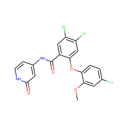 COc1cc(F)ccc1Oc1cc(Cl)c(Cl)cc1C(=O)Nc1cc[nH]c(=O)c1 ZINC000143207517