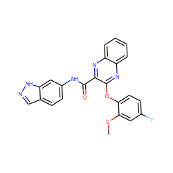 COc1cc(F)ccc1Oc1nc2ccccc2nc1C(=O)Nc1ccc2cn[nH]c2c1 ZINC000220938861