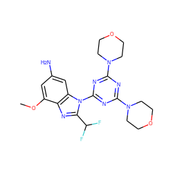 COc1cc(N)cc2c1nc(C(F)F)n2-c1nc(N2CCOCC2)nc(N2CCOCC2)n1 ZINC000073156466